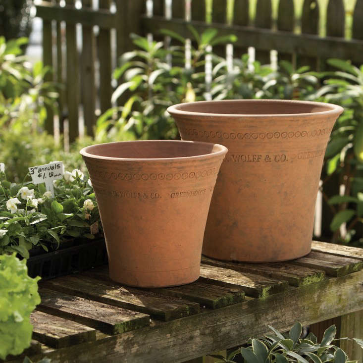 guy-wolff-moss-terracotta-pots-gardenista