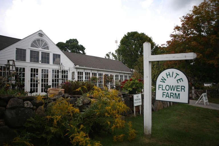 One Week Away The Great Tomato Celebration at White Flower Farm