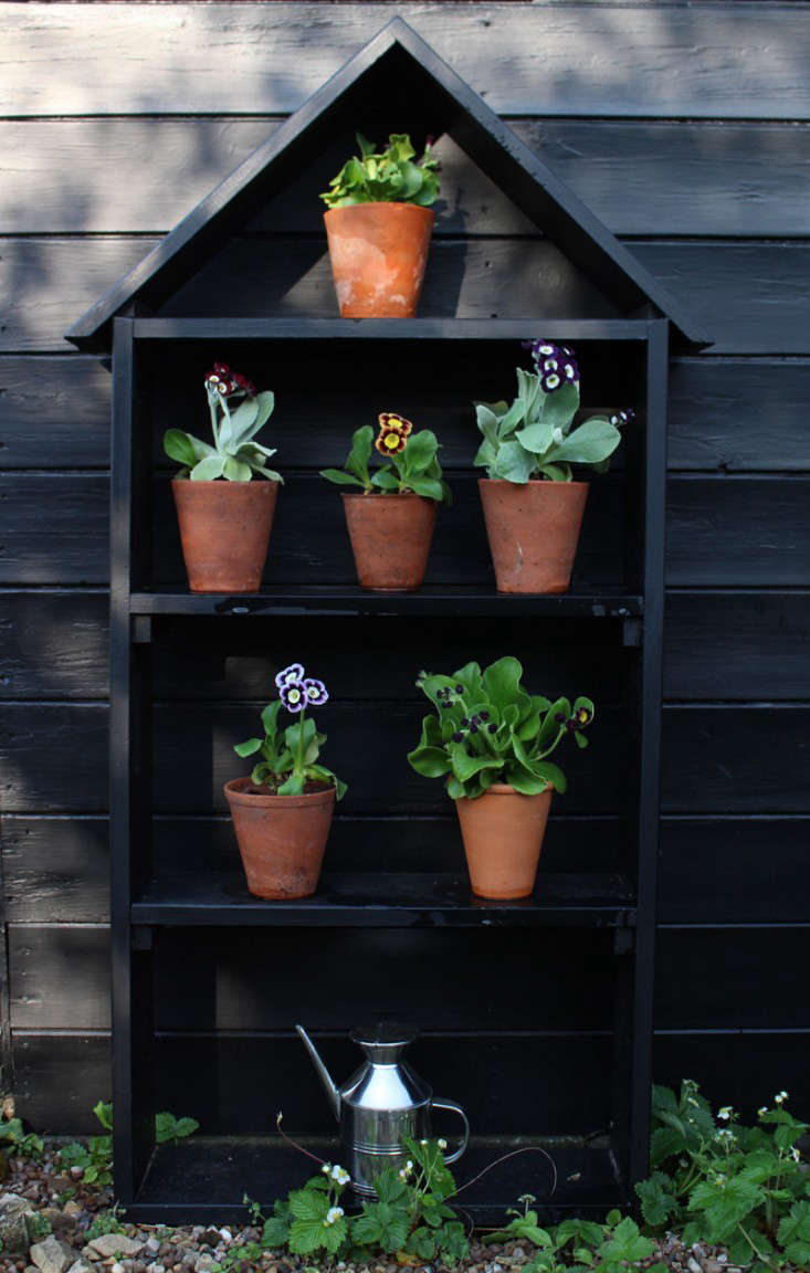 auricula-theatre-kendra-wilson-gardenista-11