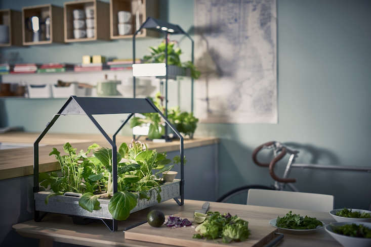 Ikea&#8\2\17;s Krydda / Vaxer Grow Kit is £6\2.50. See more at New from Ikea: A Hydroponic Countertop Garden Kit.