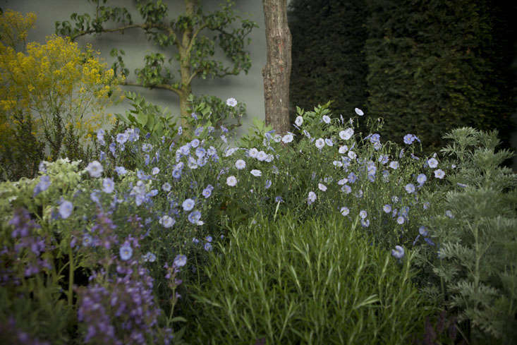 jekka-mcvicar-chelsea-8-photo-Jim-Powell-gardenista