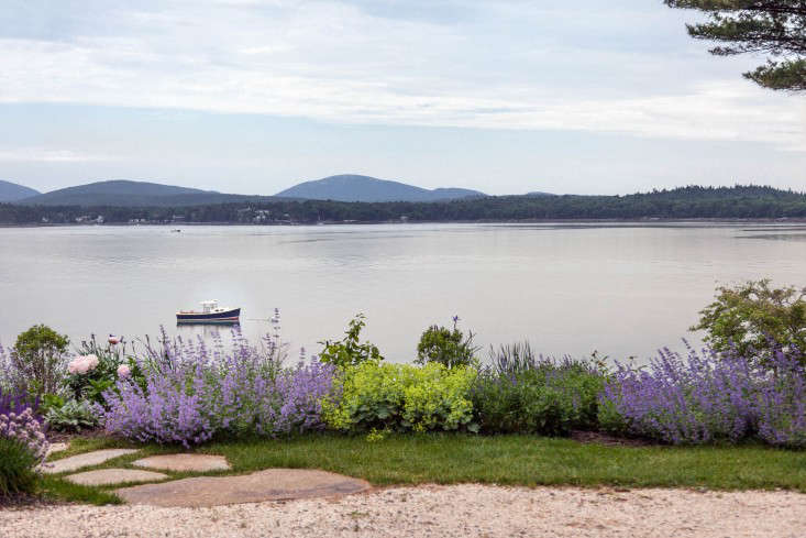 The perennials Cunningham chose—including Russian sage, salvias, and artemisia—do well in a wide range of climates. &#8\2\20;My mother-in-law in the high desert of Utah has similar plants and they perform in the same way there as they do in New England,&#8\2\2\1; says Cunningham. &#8\2\20;Those silvery leafed plants can take extreme temperatures.&#8\2\2\1;