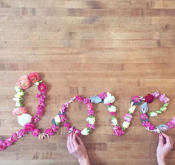 London_Plane_Seattle_instagram_gardenista_obsessions