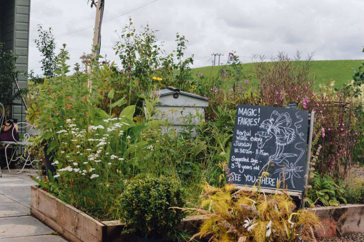 edinburgh-scotland-secret-herb-garden-jen-chillingsworth-gardenista-4