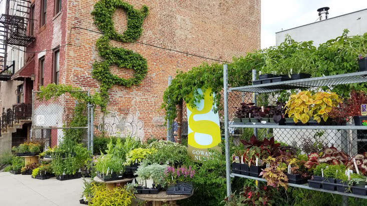 gowanus-nursery-street-view_marieviljoen-brooklyn-gardenista