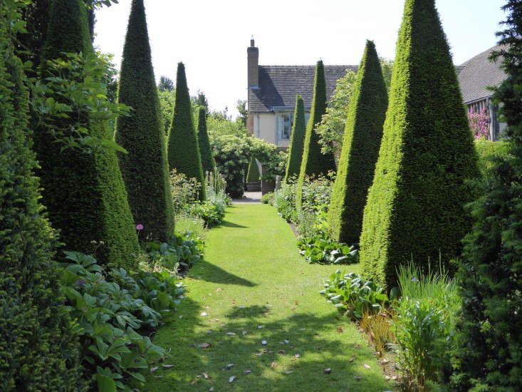 wollerton-garden-yew-spires-gardenista