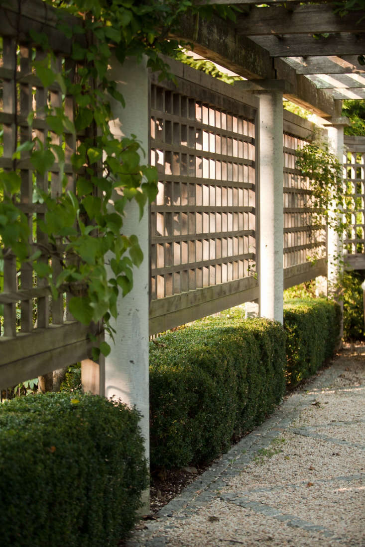 Architects' Secrets: 10 Ideas to Create Privacy in the Garden - Gardenista