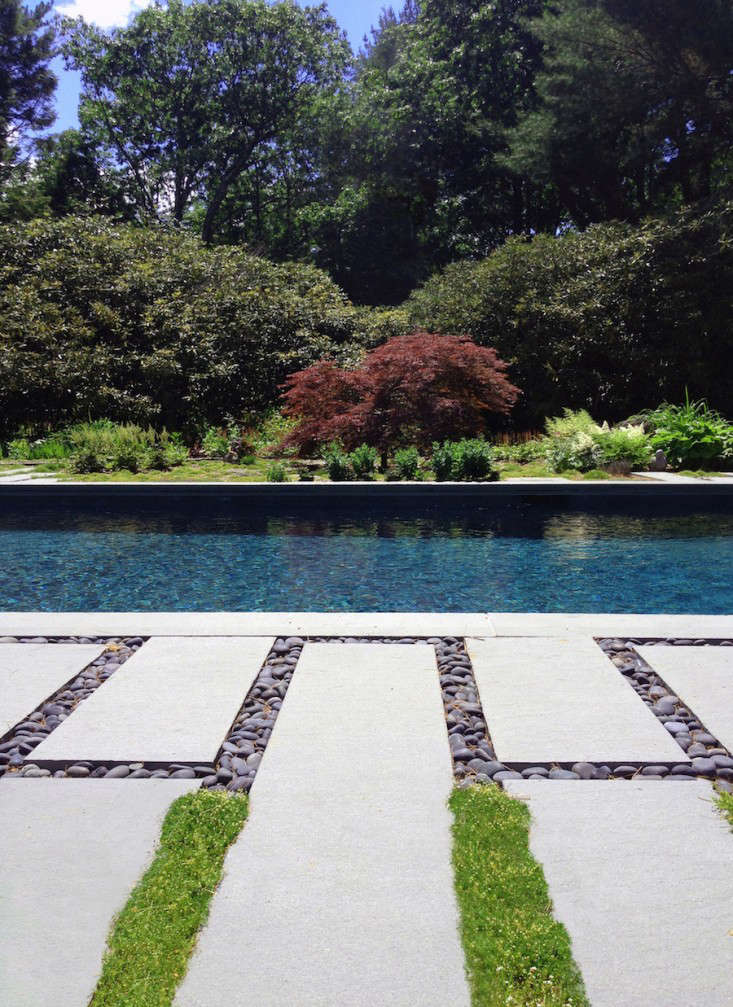 Brooklyn-based O’Neill Rose Architects planted a mix of Irish moss (Sagina subulata) and thyme between the bluestone pavers at the edge of a swimming pool. For more of this project see Swimming Pool of the Week: A \19\20s Summer House at the Edge of the Woods in the Berkshires. Photograph by Michael Moran courtesy of O’Neill Rose Architects.