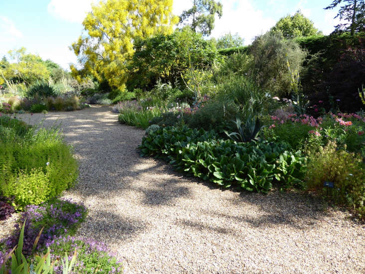 Beth Chatto&#8\2\17;s gravel garden. Photograph by Clare Coulson.