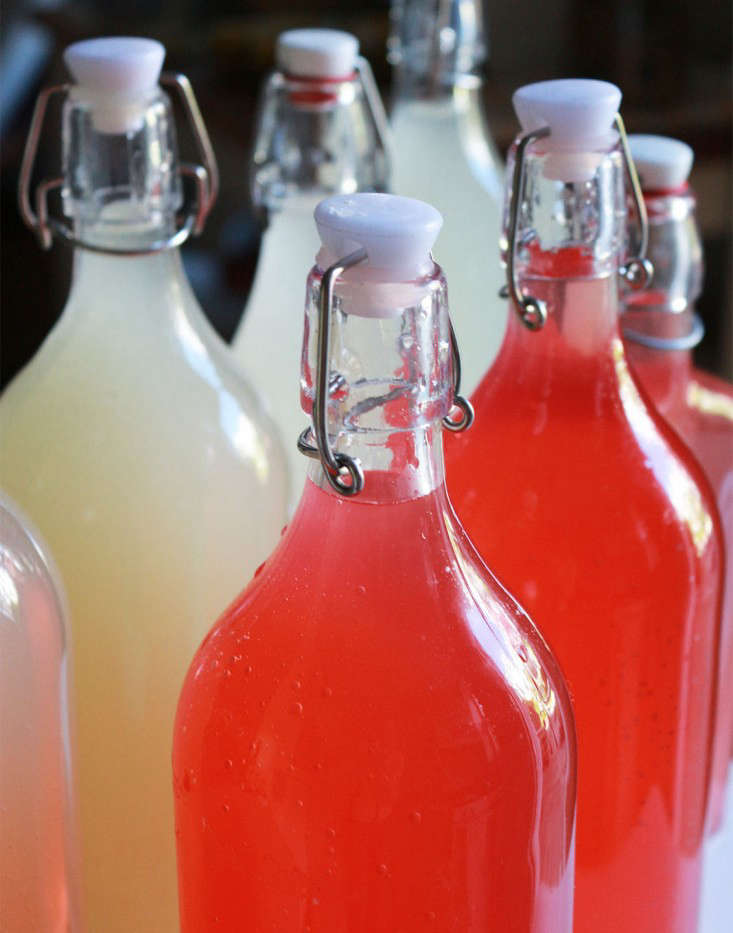 bottles_milkweed-cordial-marieviljoen-gardenista