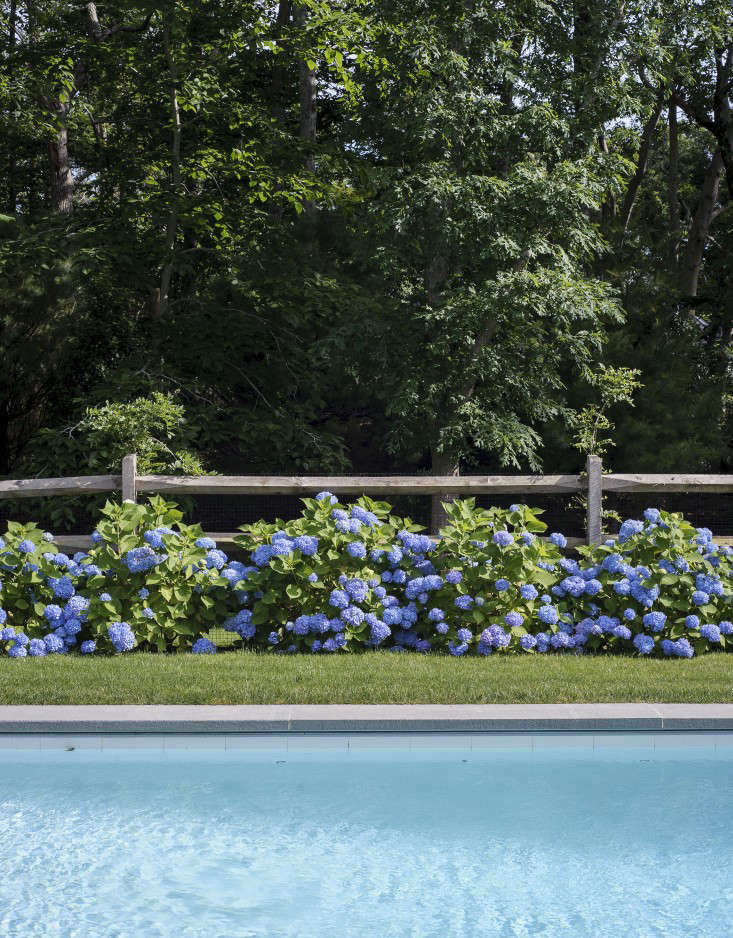 A rustic split-rail fence encloses the swimming pool.