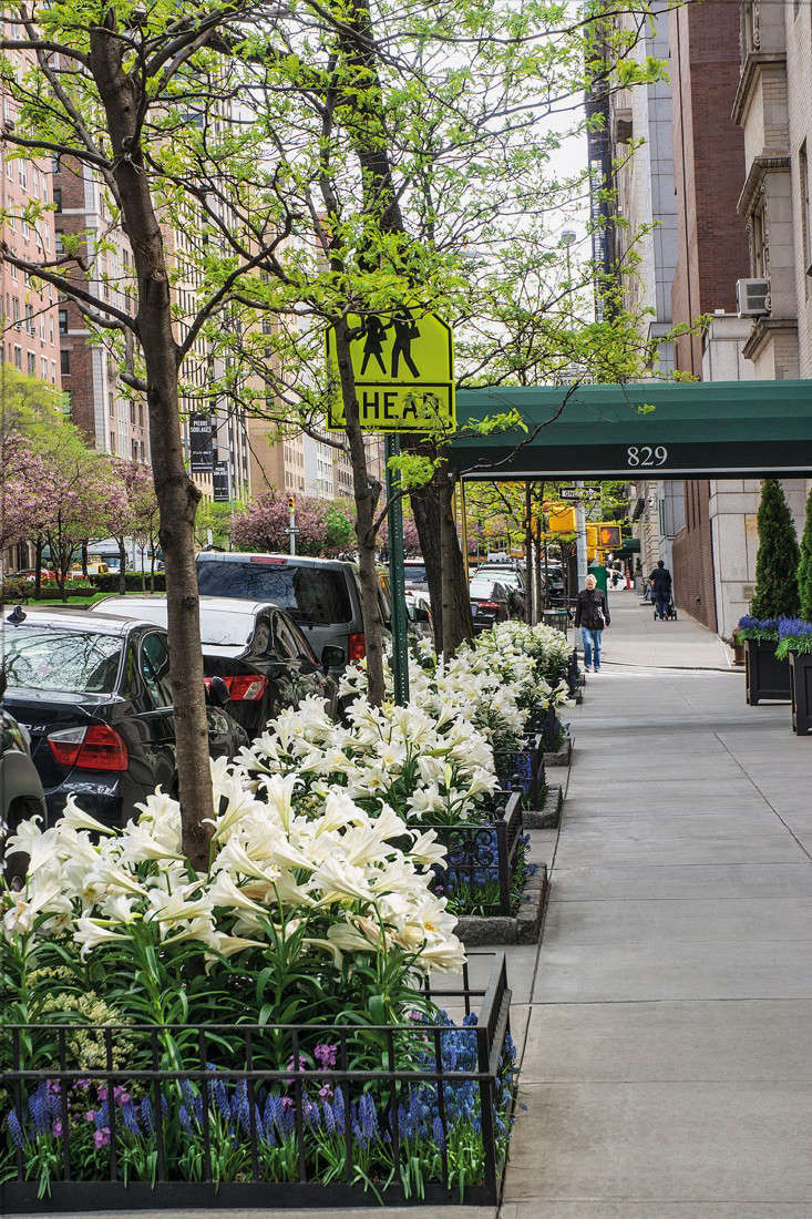 tree-bed-lilies-gardenista