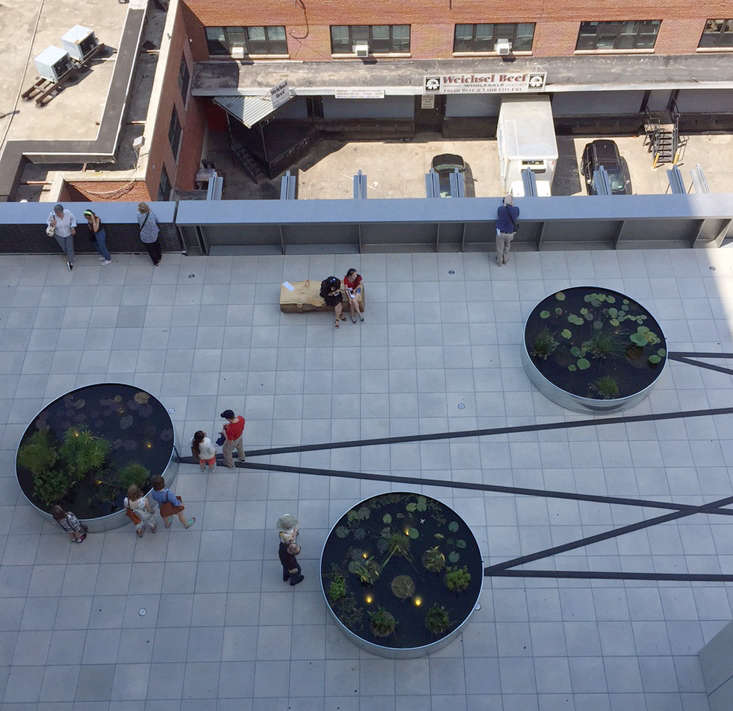 Nyc Weekend Lily Pads And Rooftop Ponds At The Whitney Museum Gardenista