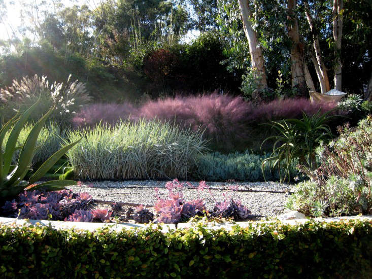 Photograph courtesy of Griffin Enright Architects. For more of this garden, see Architect Visit: A Hazy Landscape of Grasses in Santa Monica.