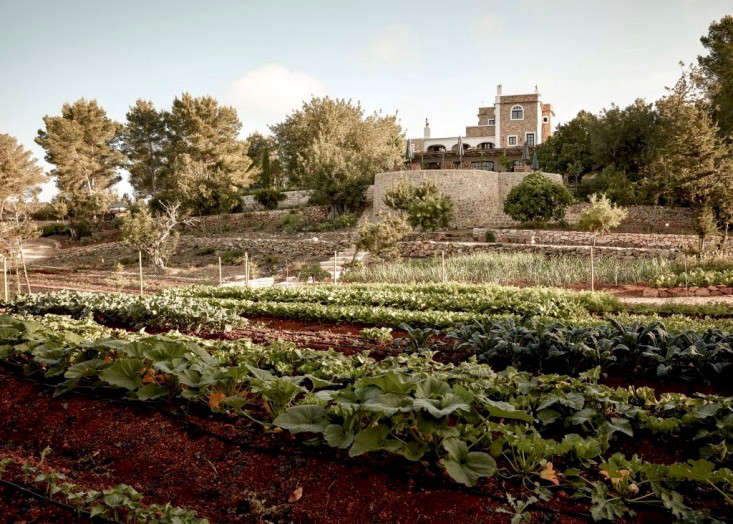 hotel-la-granja-ibiza-kitchen-garden-1-gardenista