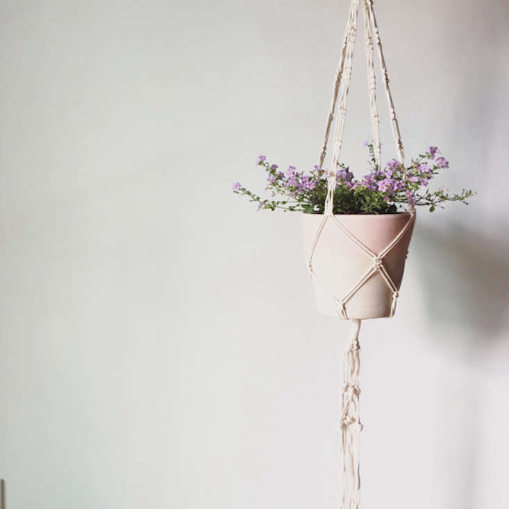 Fox & Sail_macram plant hanger_gardenista