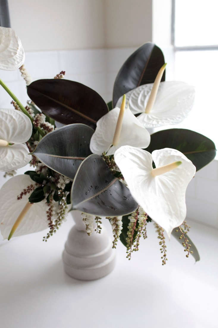 Gardenista-anthuriums-sophia-moreno-bunge-10