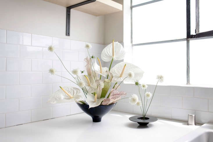 Gardenista-anthuriums-sophia-moreno-bunge-6