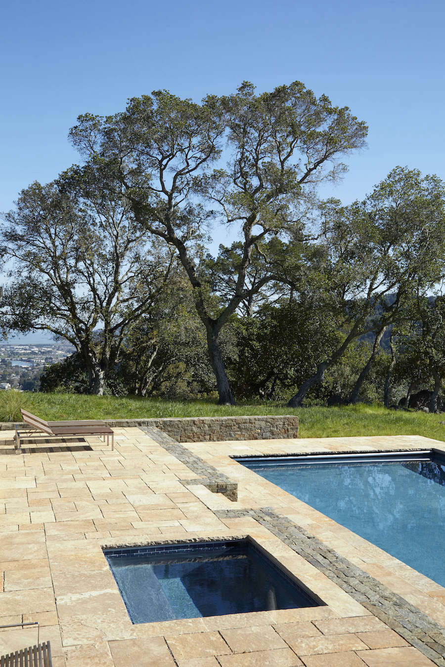 Marin-Hills-Pool-Scott-Lewis-Gardenista-8