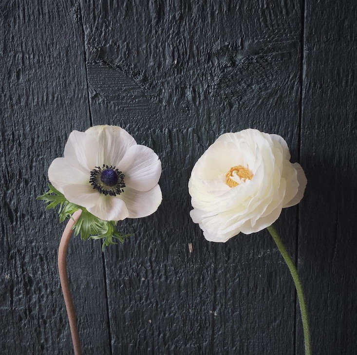 Morrice Florist_instagram_Gardenista_current obsessions
