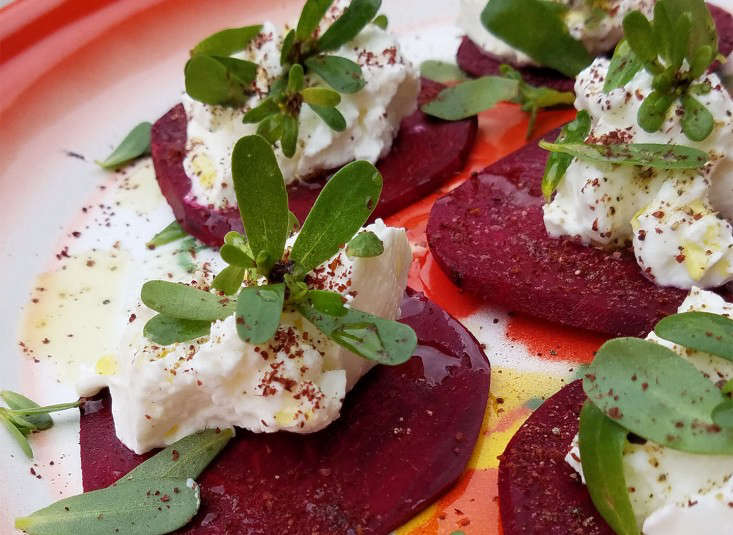 beet_purslane_snacks_marieviljoen_gardenista