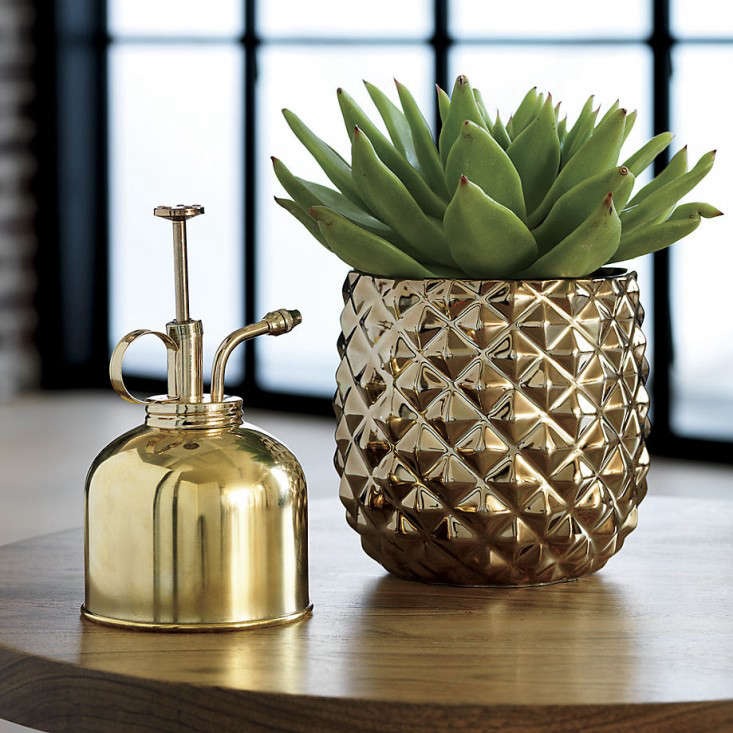 brass-planter-pot-pineapple-cb2