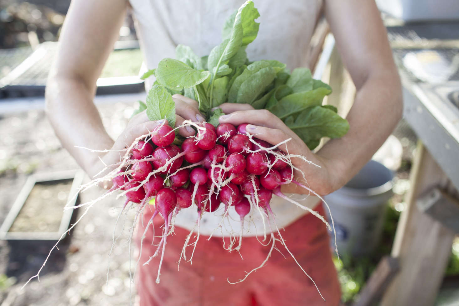 Photograph by Emily Hall, courtesy of Greyfield Inn, from Greyfield Gardens: A Chef