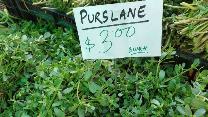 market_purslane_marieviljoen_gardenista