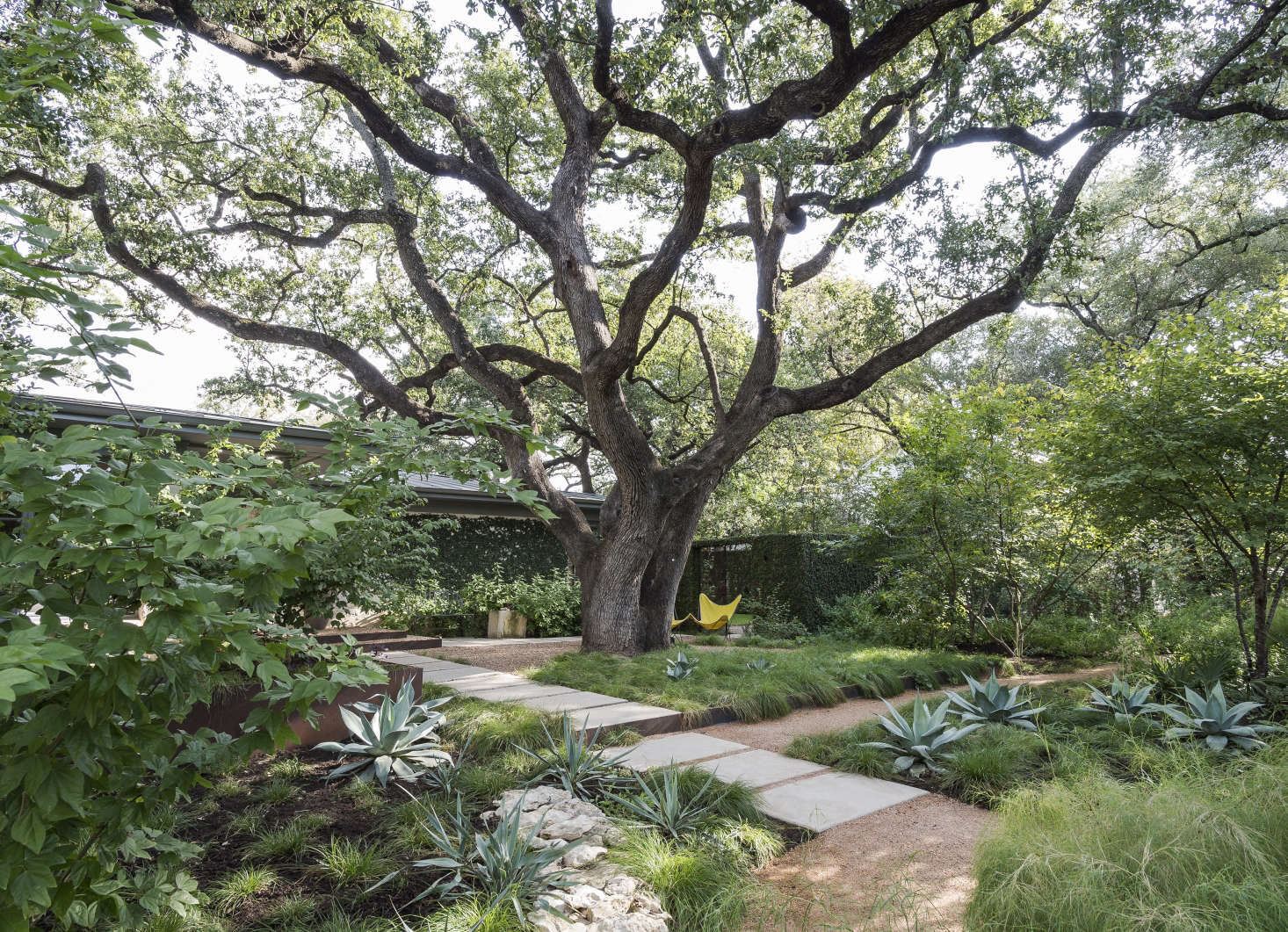 Photograph by Matthew Williams for Gardenista. For more of this project, see our Gardenista book.
