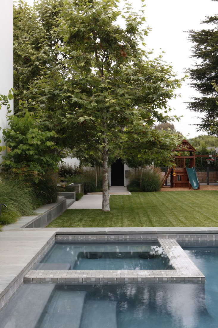 A lawn of turf grass where the children play borders the swimming pool and spa. The interior of the pool is plastered with Pebble-Fina, an aggregate finish available in \1\1 colors. Visible above the water line is tile from Heath Ceramics.