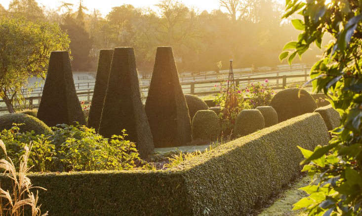 PETTIFERS GARDEN, OXFORDSHIRE, IN AUTUMN: THE LOWER PARTERRE IN EARLY MORNING WITH CLIPPED BOX AND YEW