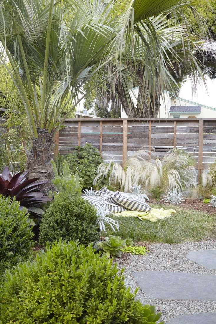 At her home in Berkeley, California, landscape designer Flora Grubb relies on a bulky palm to create a layer of privacy in the garden. See more in Landscape Designer Visit: At Home with Flora Grubb in Berkeley, CA. Photograph by Caitlin Atkinson.