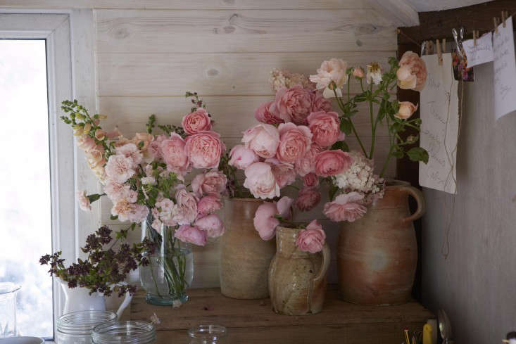 florist-studio-pink-roses-vase-tamara-hall-britt-willoughby-dyer-BN2A0189