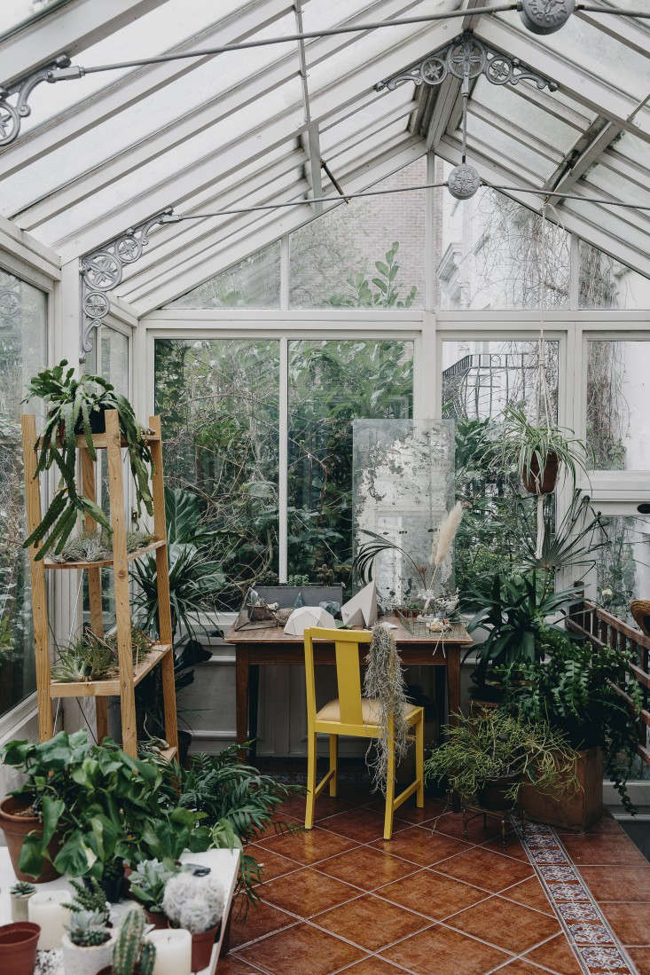 house-of-plants-book-greenhouse-bookshelves