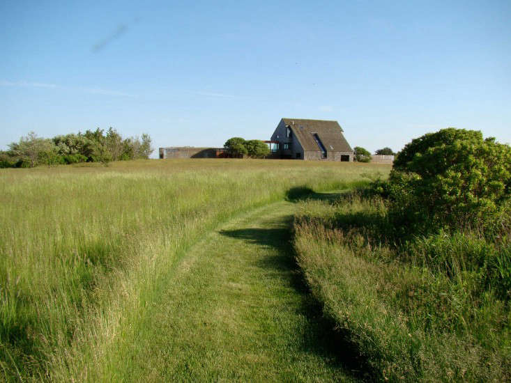 Edged by tough seaside foliage, a scrubby mown fescue path is treated as a hardscape element. You wouldn