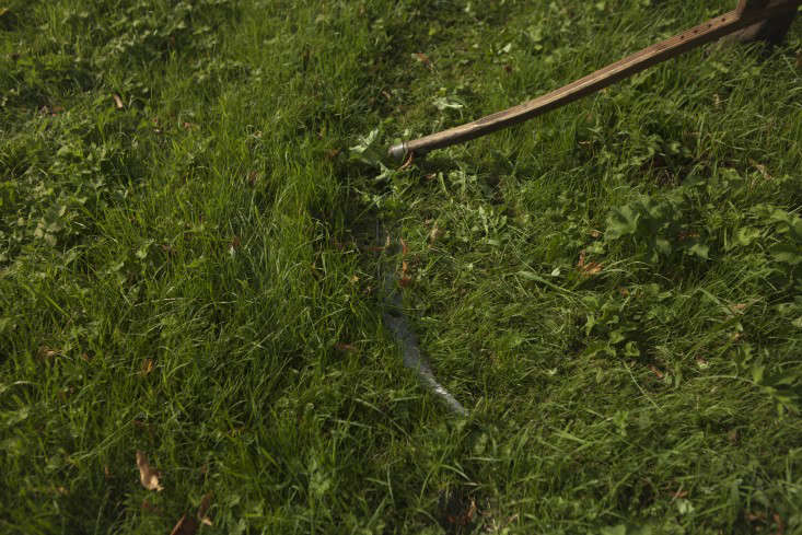 Scything a meadow and making hay in East Anglia, UK