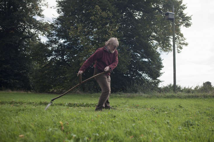 Scything a meadow and making hay in East Anglia, UK