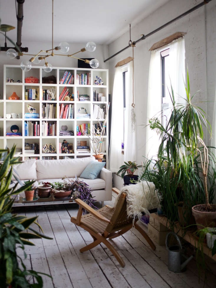 brooklyn loft with white painted floors and bookcase and houseplants