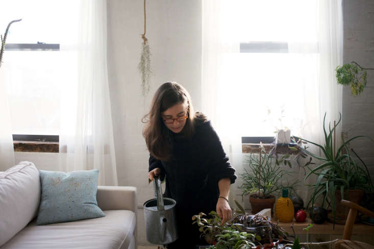 artist shabd simon-alexander at home in brooklyn watering houseplants