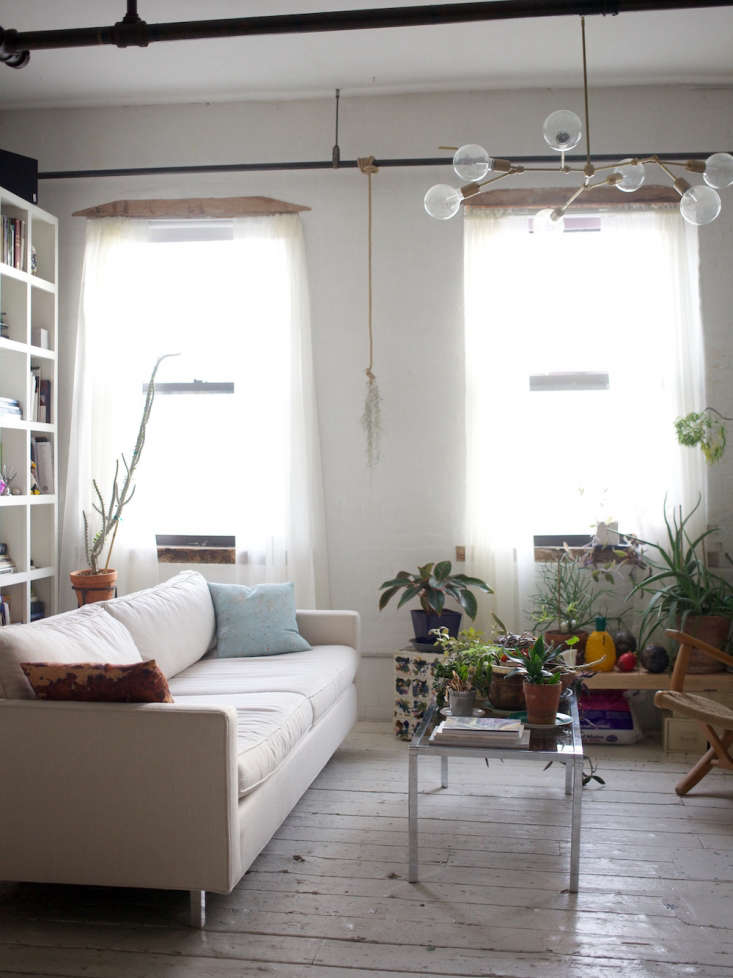 brooklyn loft living room with white painted floors white couch and houseplants