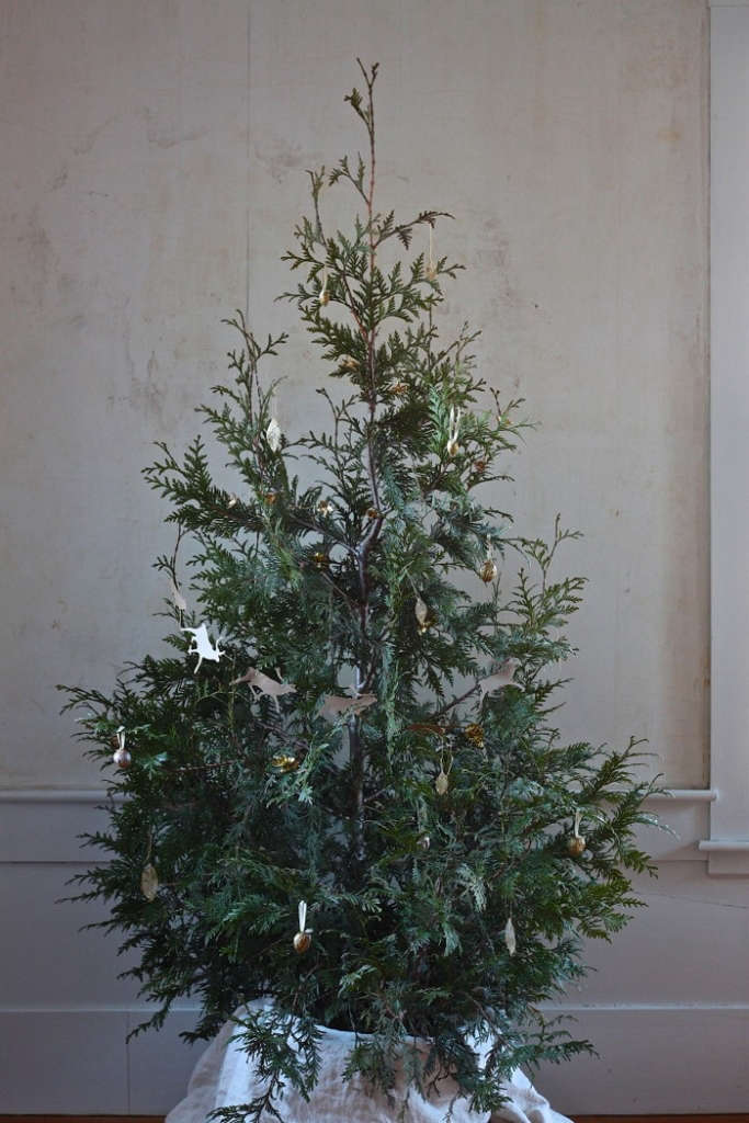 DIY Plant Your Christmas Tree in the Garden Gardenista