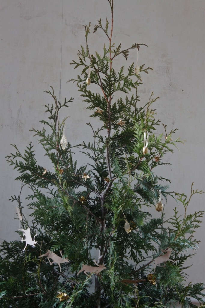 DIY Plant Your Christmas Tree in the Garden Gardenista