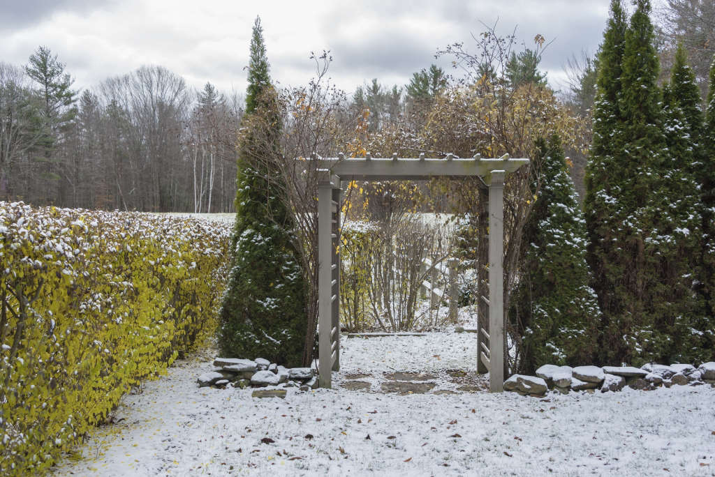 What to Do in the Garden in February Gardenista