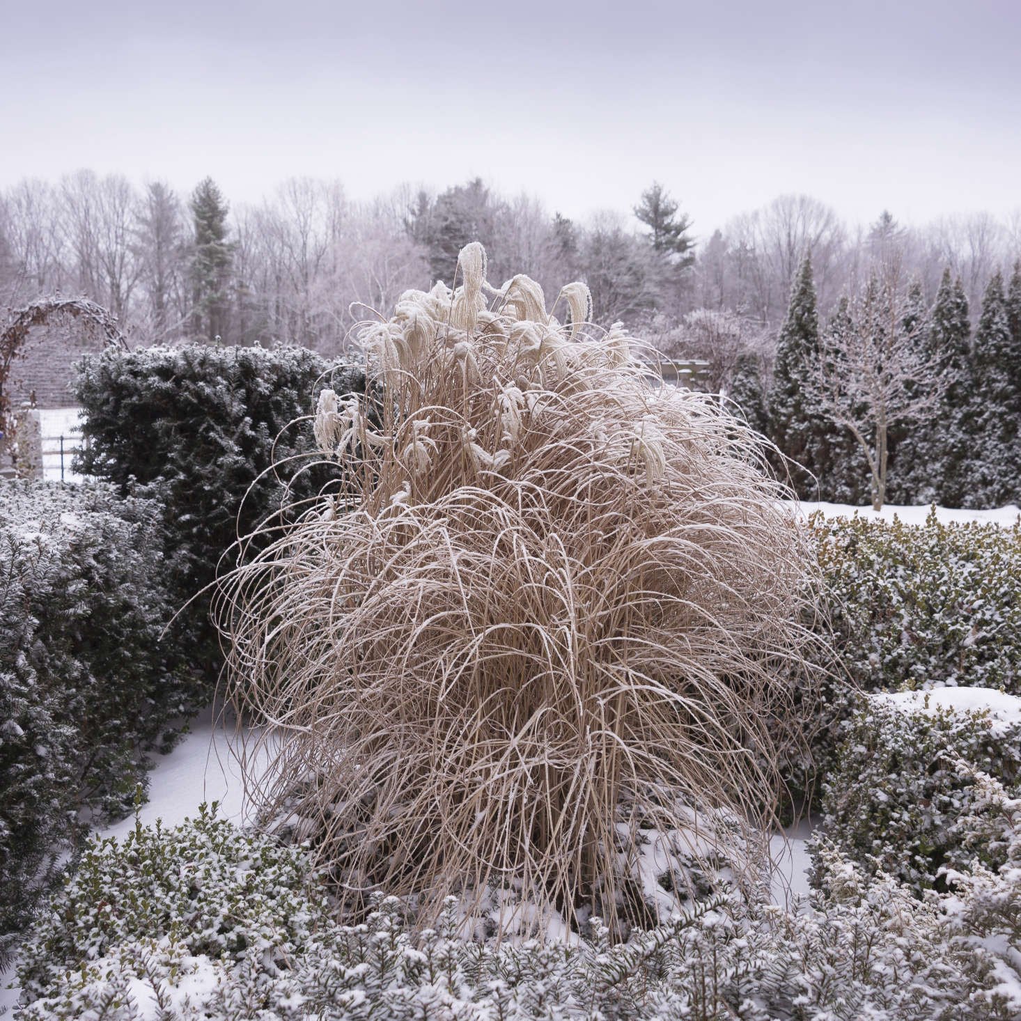 Garden Visit At Home at Juniper Hill Farm in New Hampshire Gardenista
