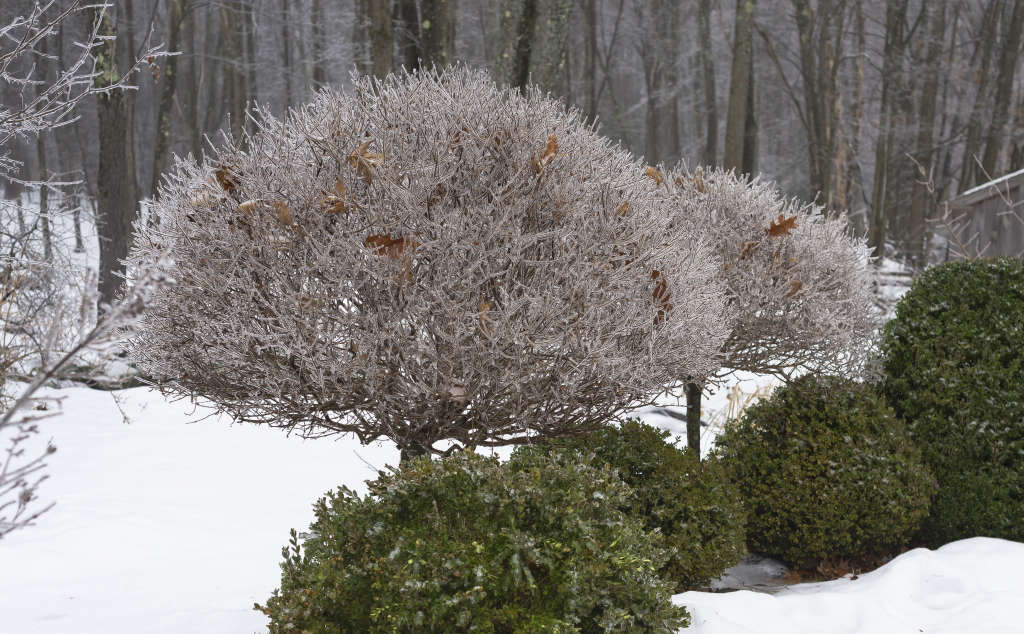 Garden Visit At Home at Juniper Hill Farm in New Hampshire Gardenista