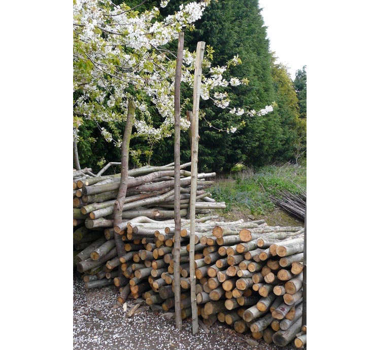 For DIY fences, Chestnut Bracing Rails are £7.50 from Natural Fencing.