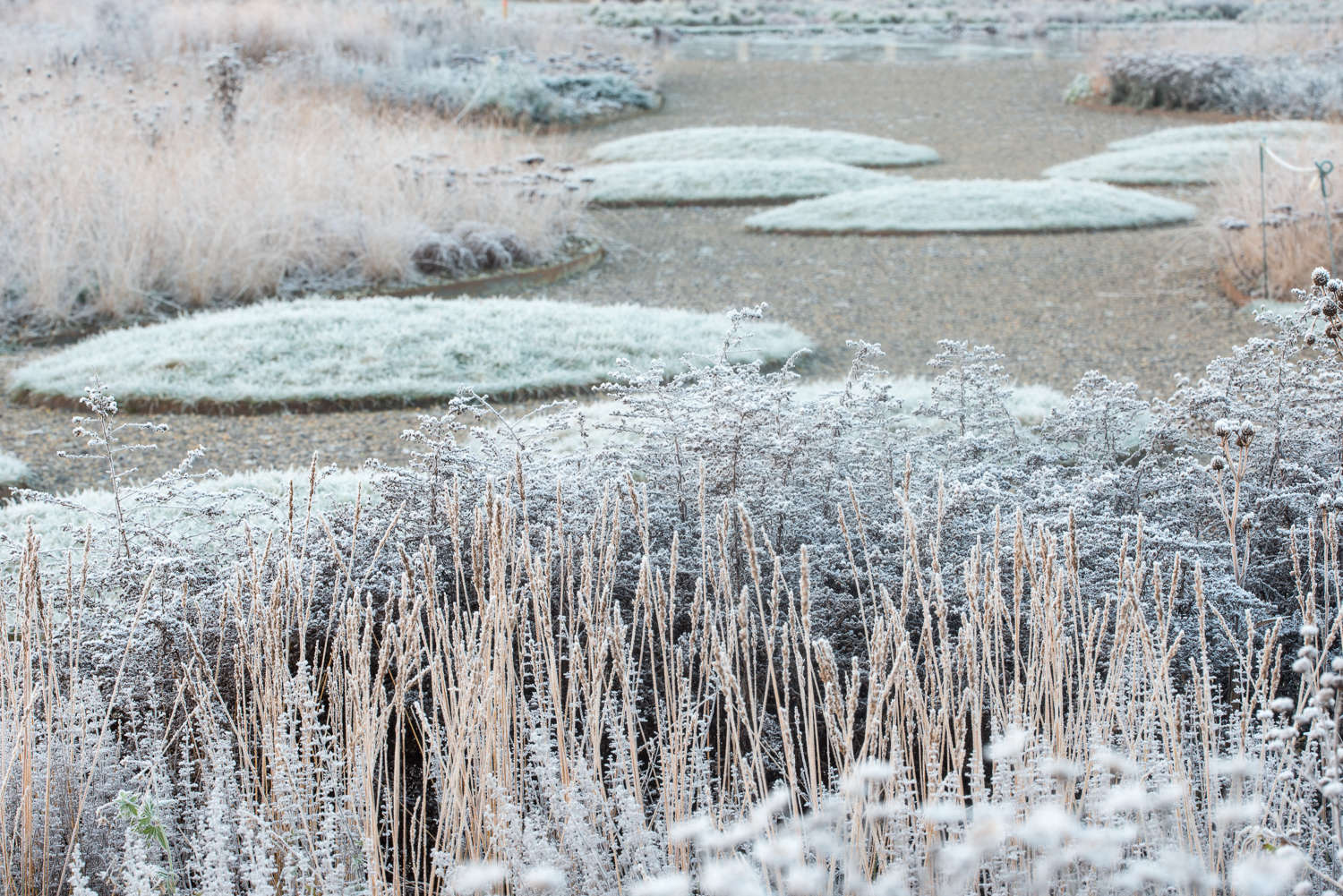 piet oudolf gardens to visit uk