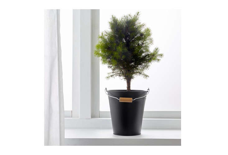 socker-plant-bucket-ikea