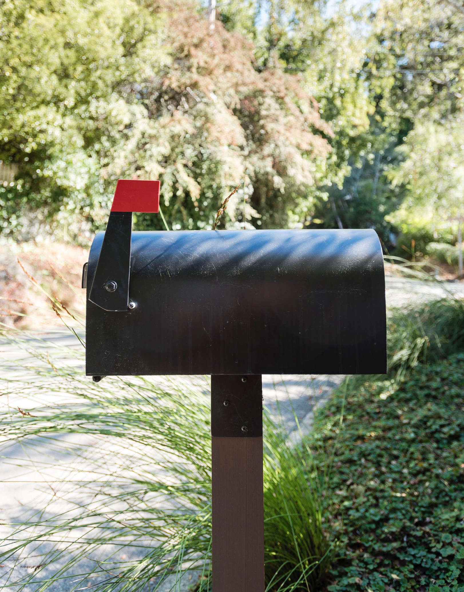 veeders-mailbox-matthew-williams-DSC-0463