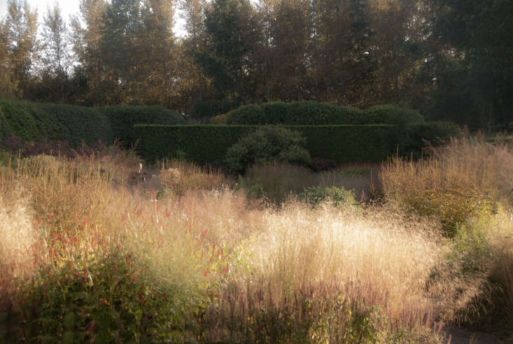 Deschampsia cespitosa in Oudolf’s own garden in the Netherlands. Photograph courtesy of My Garden School from Landscape Ideas: 8 Favorite Gardens by Dutch Designer Piet Oudolf.